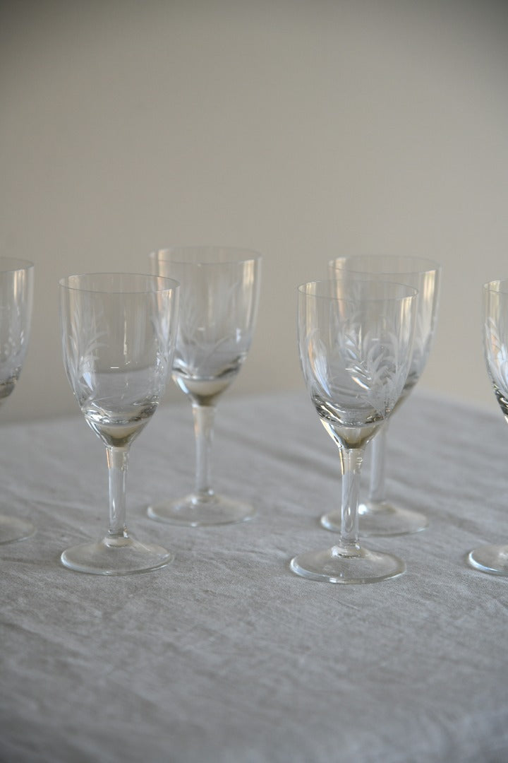 6 Etched Licquer Glasses