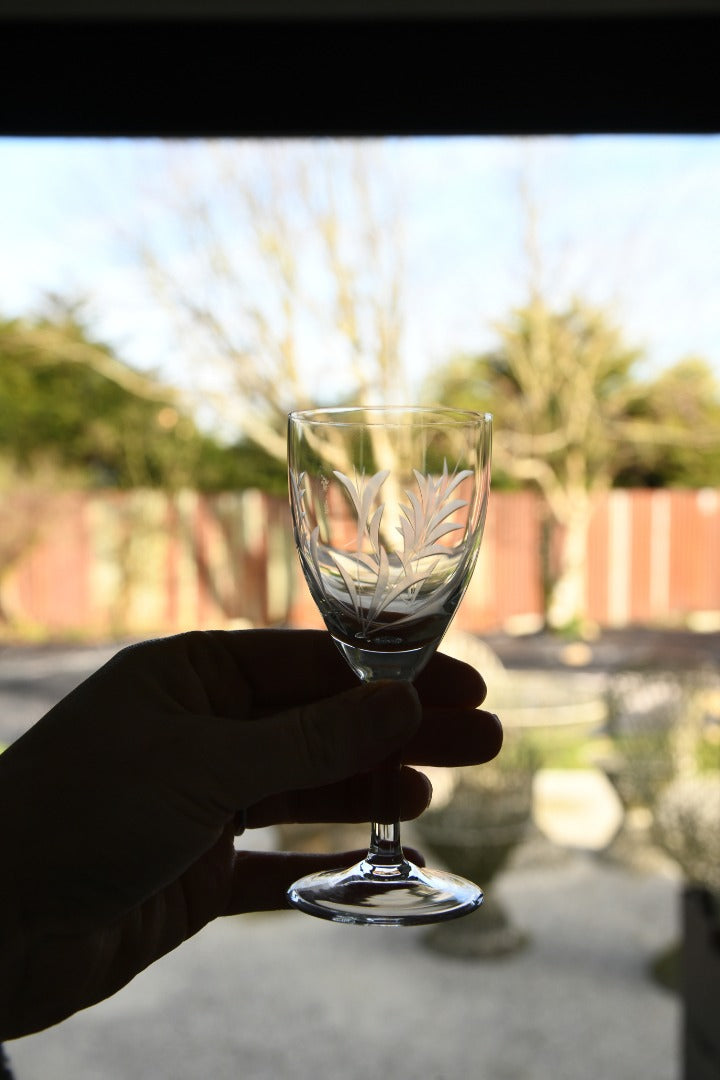 6 Etched Licquer Glasses