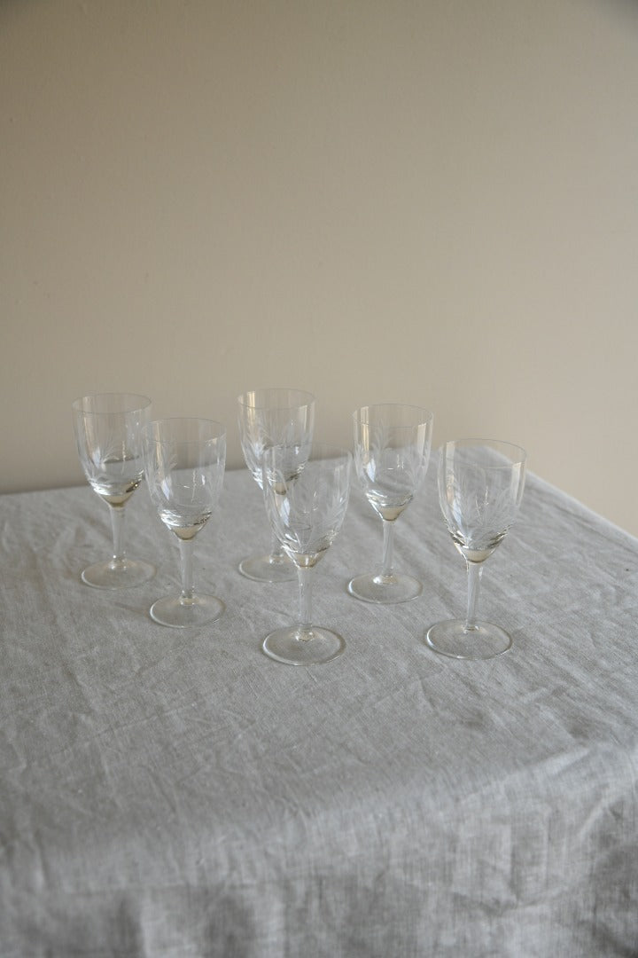 6 Etched Licquer Glasses