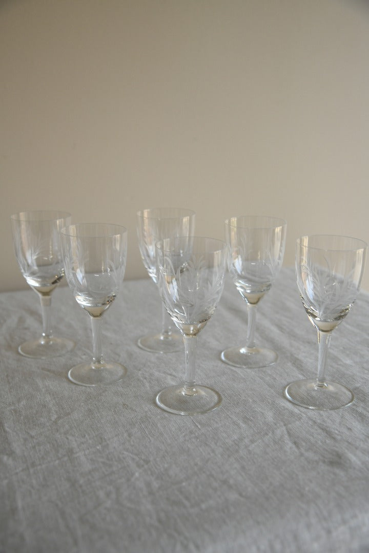 6 Etched Licquer Glasses