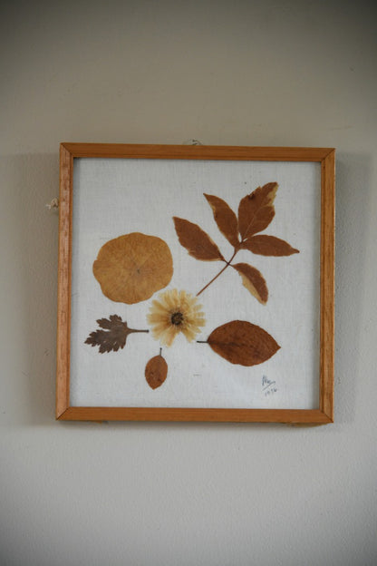 Vintage Pressed Dried Flowers