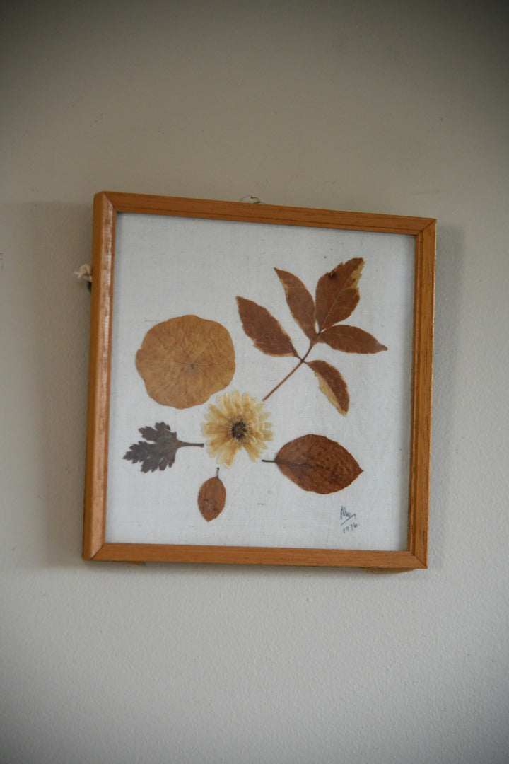 Vintage Pressed Dried Flowers