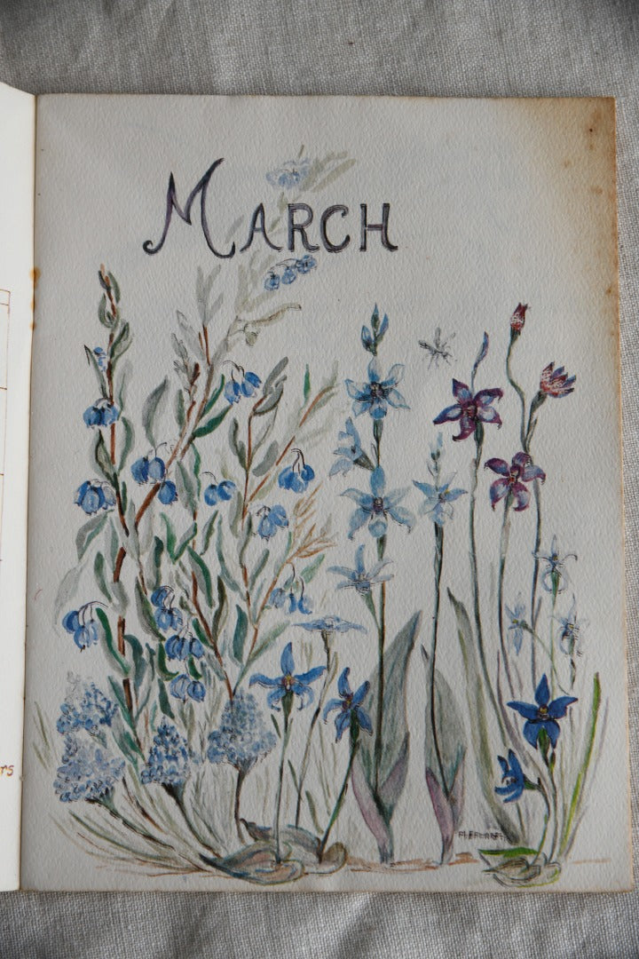 Perpetual Calendar of Western Australias Dainty Wildflowers - Mary Edwards