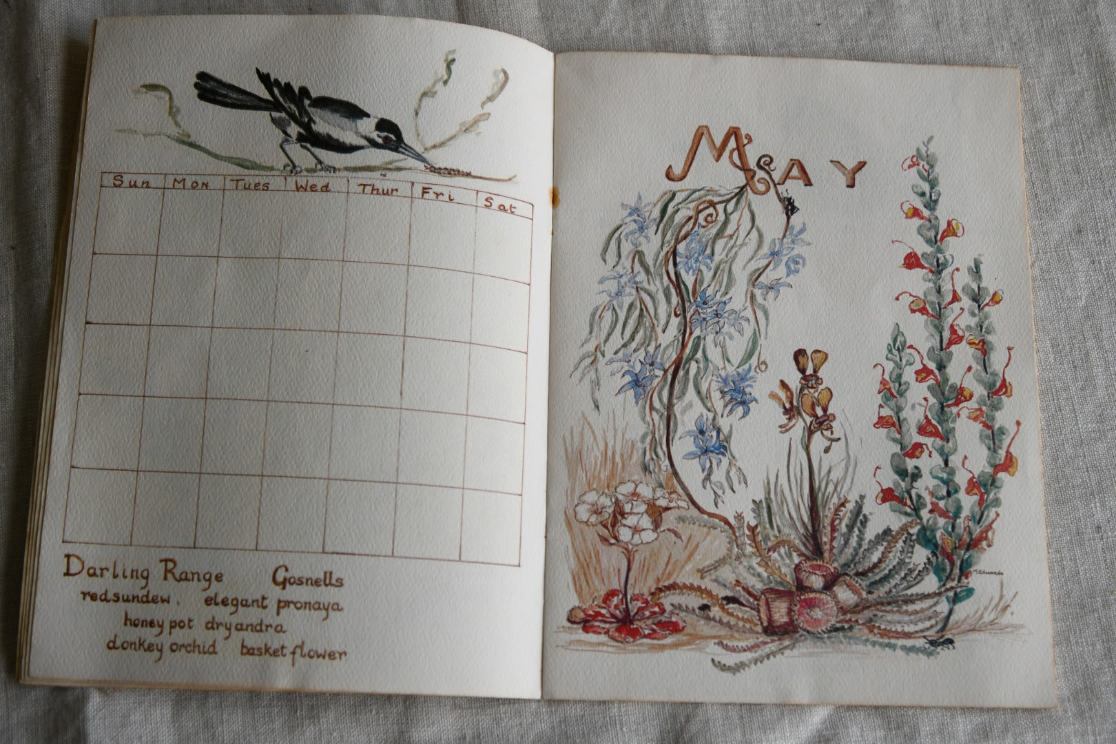 Perpetual Calendar of Western Australias Dainty Wildflowers - Mary Edwards