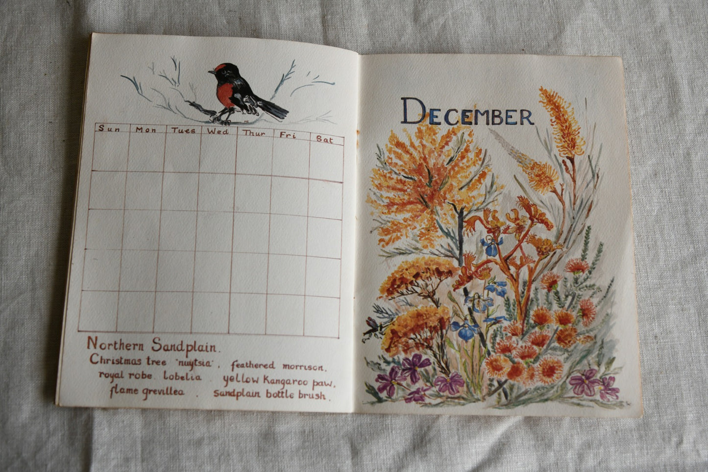 Perpetual Calendar of Western Australias Dainty Wildflowers - Mary Edwards