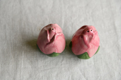 Franciscan Vintage Rose Bud Salt & Pepper Shakers