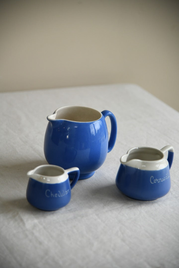 Blue & White Jugs