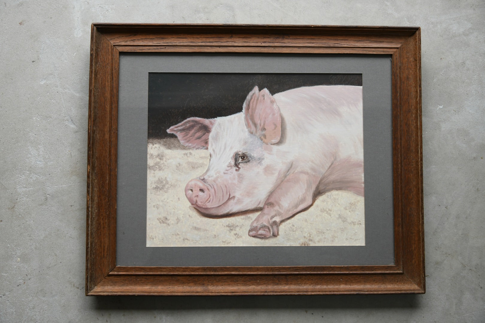 Pig Portrait