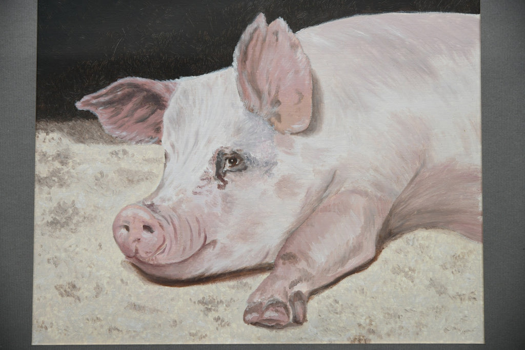 Pig Portrait