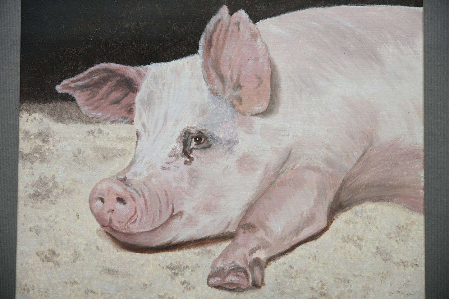 Pig Portrait