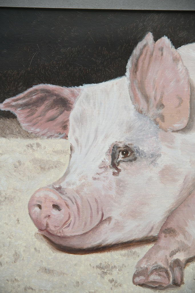 Pig Portrait