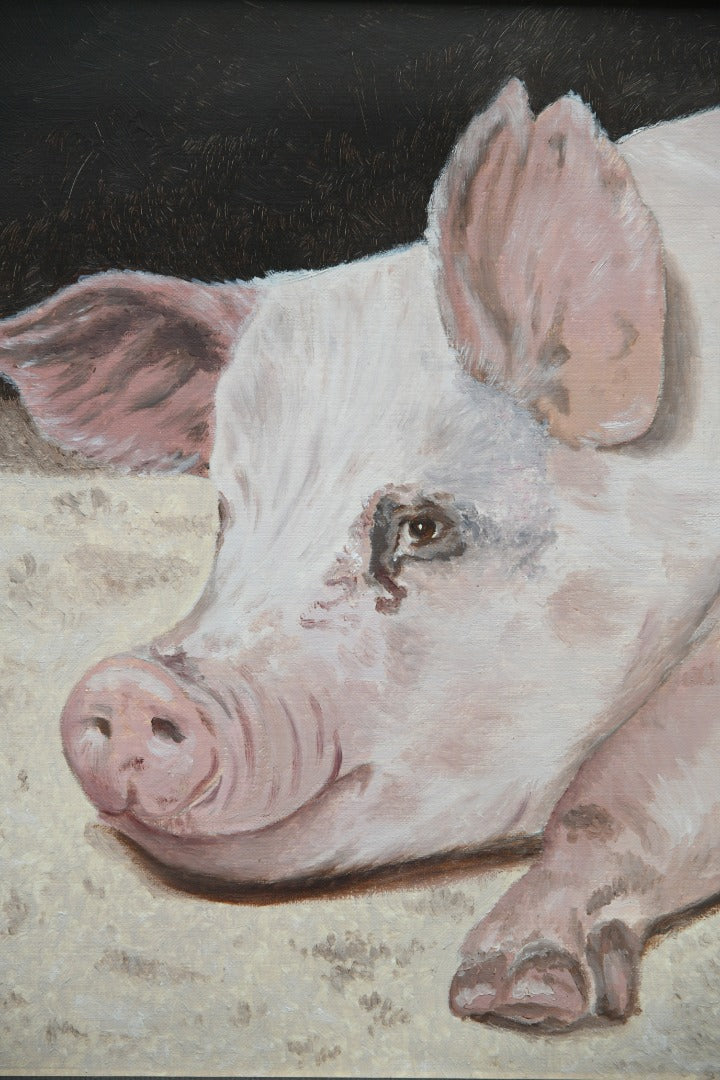 Pig Portrait