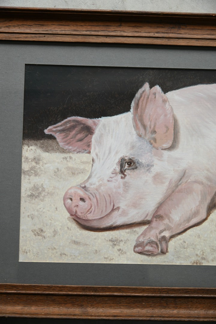 Pig Portrait