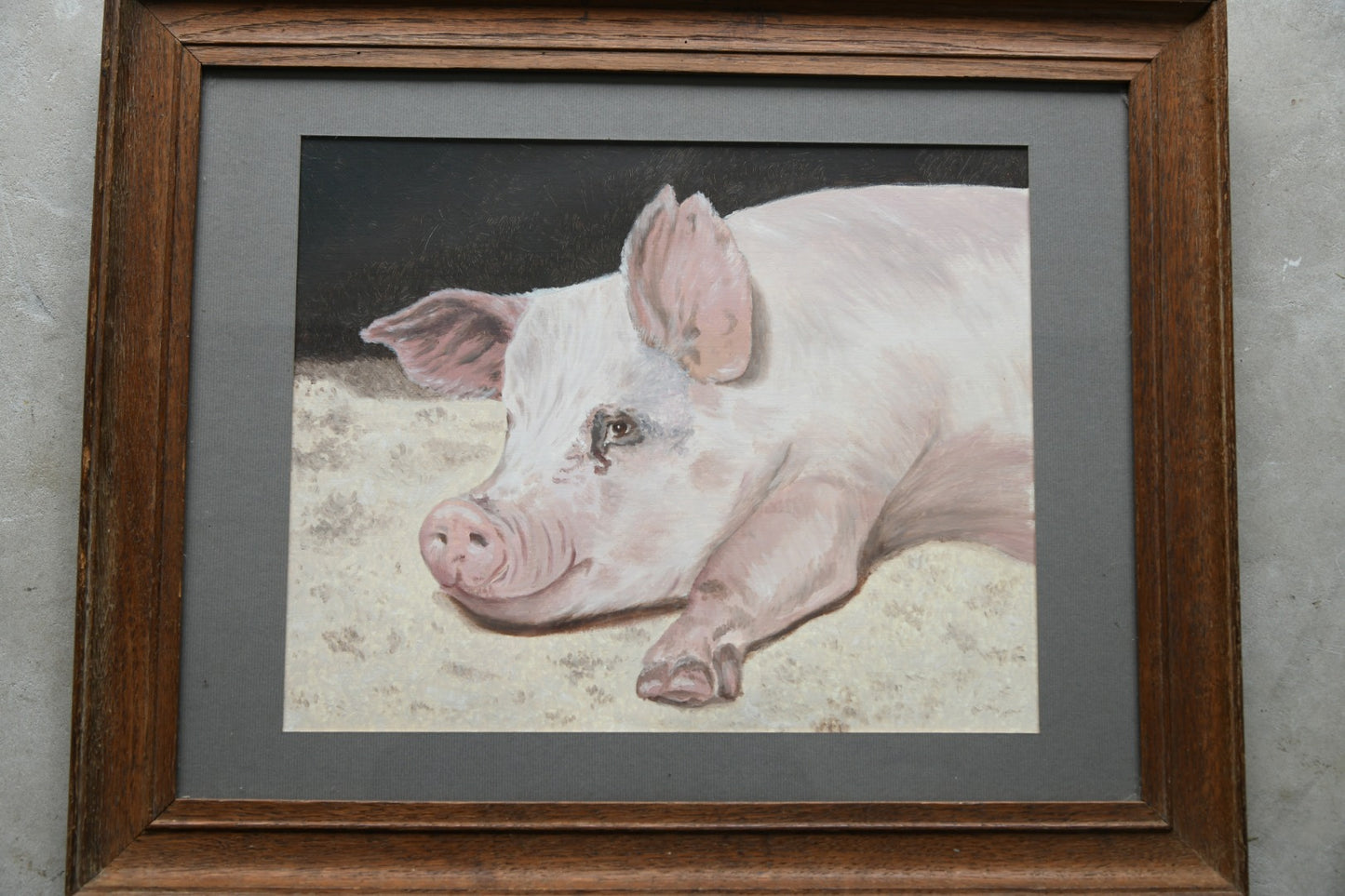 Pig Portrait