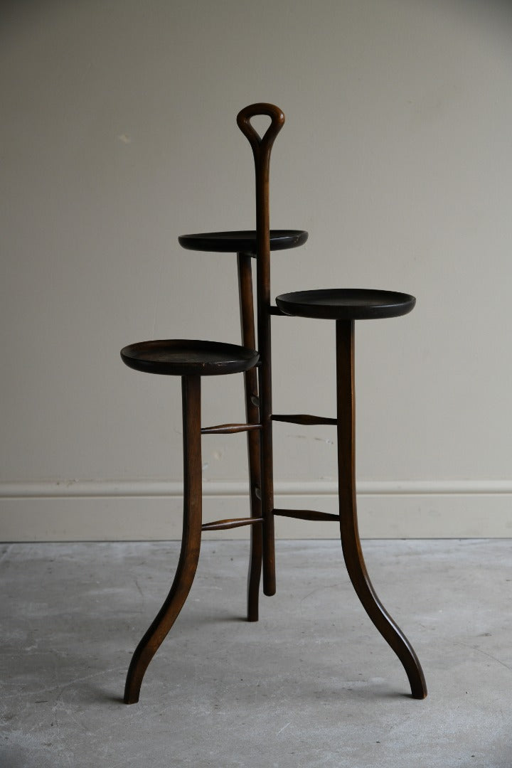 Early 20th Century Beech Plant Stand