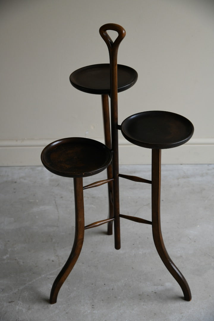 Early 20th Century Beech Plant Stand