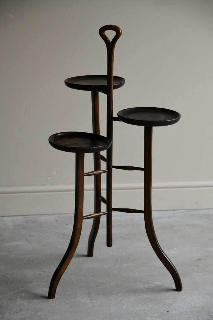 Early 20th Century Beech Plant Stand