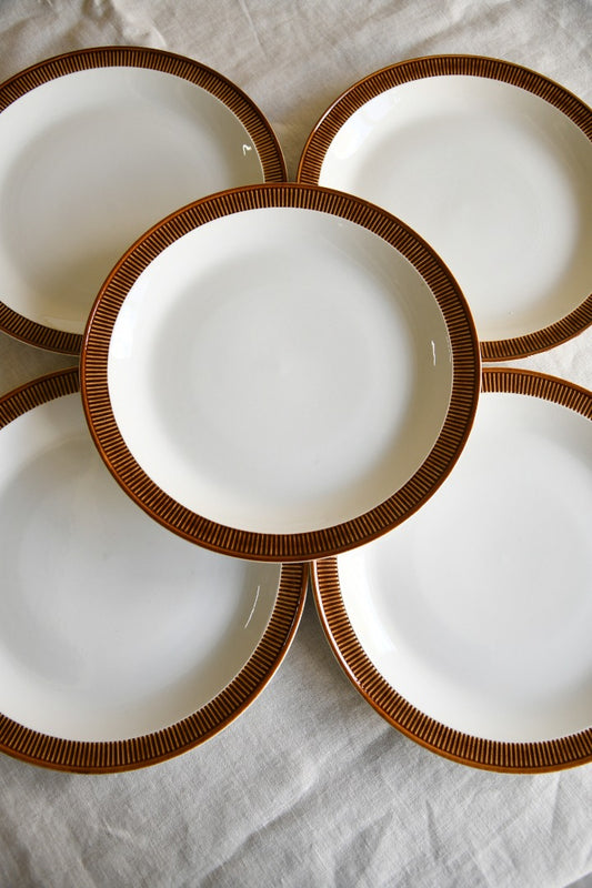 8 Poole Pottery Chestnut Dinner Plates