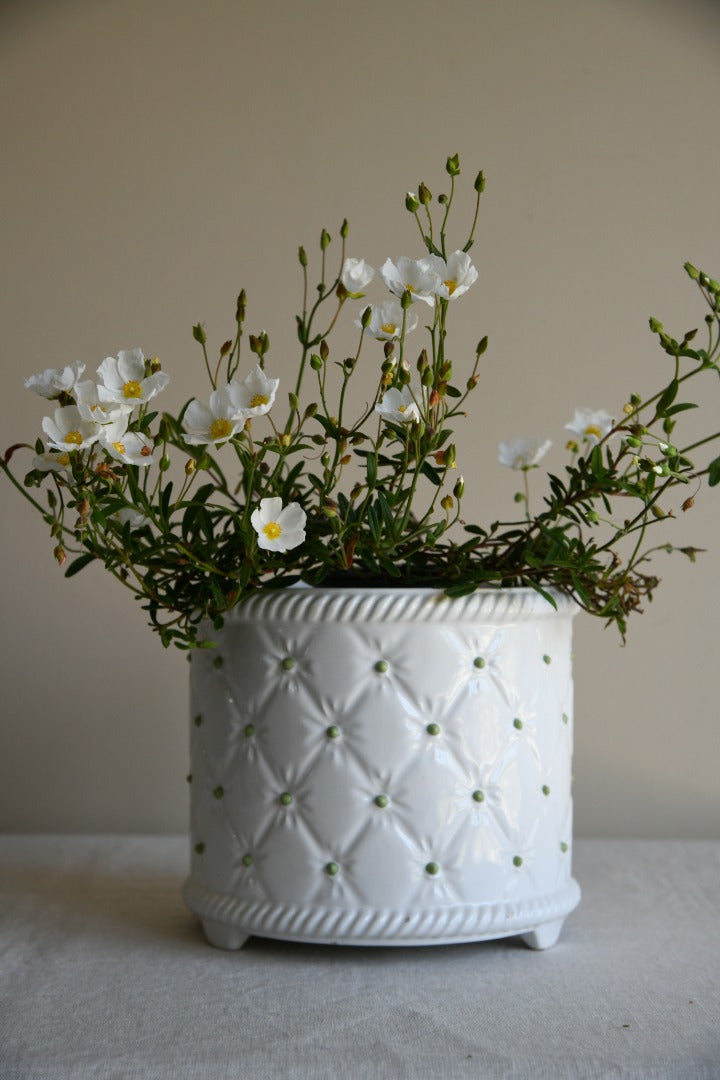 White Ceramic Planter