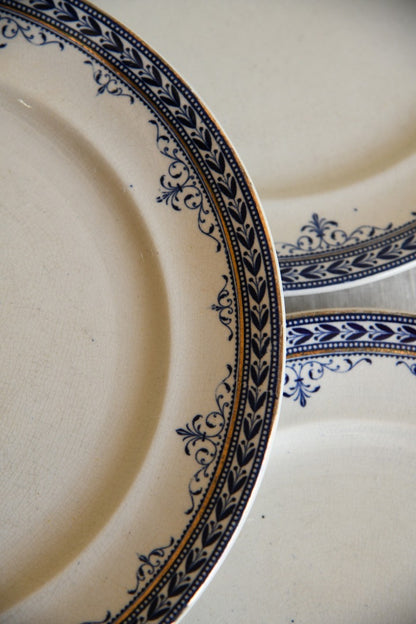 Collection of Victorian Blue Plates