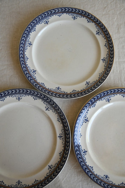 Collection of Victorian Blue Plates