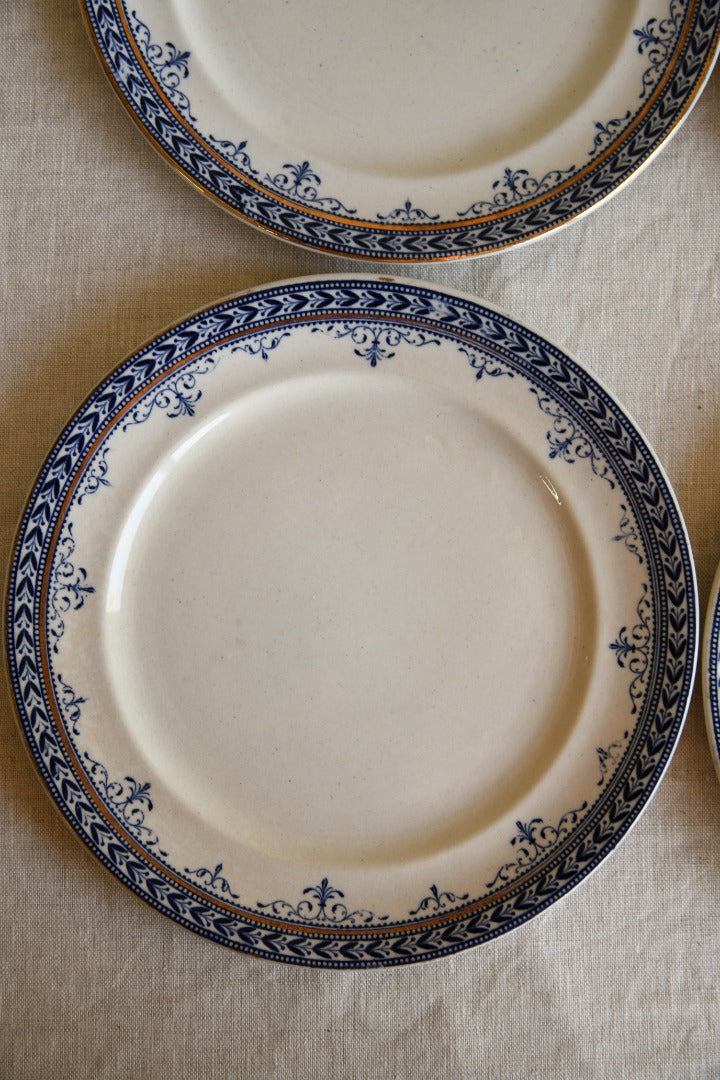 Collection of Victorian Blue Plates