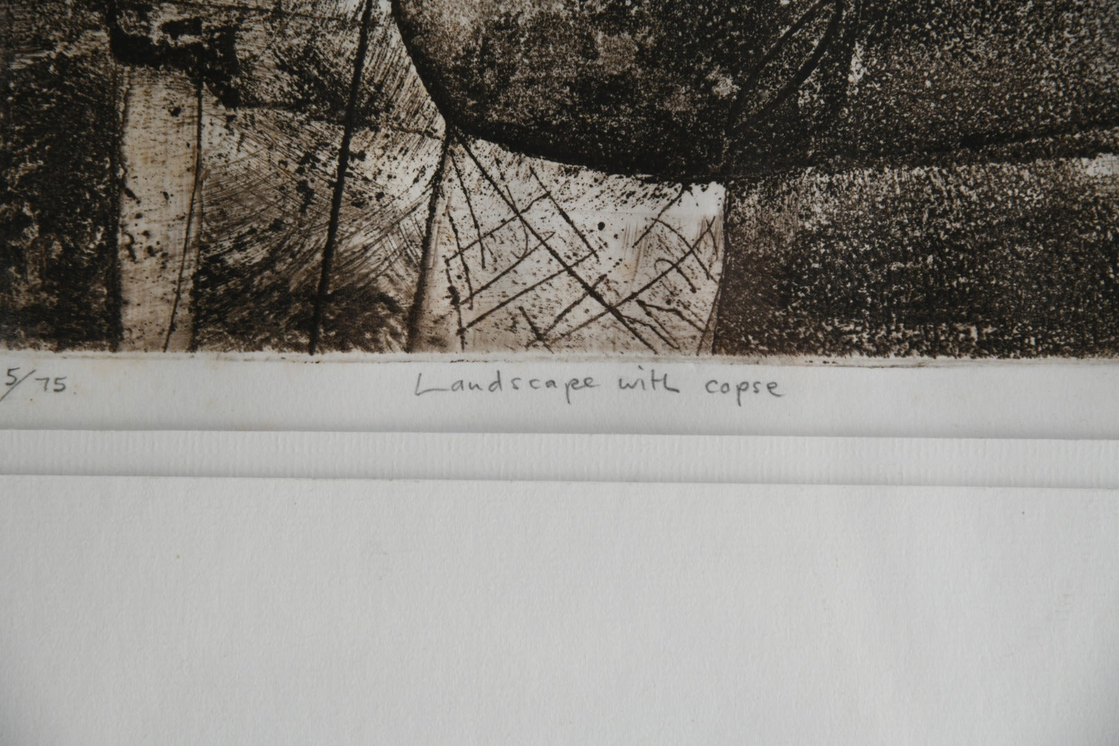 Peter Fox - Landscape with Copse Etching