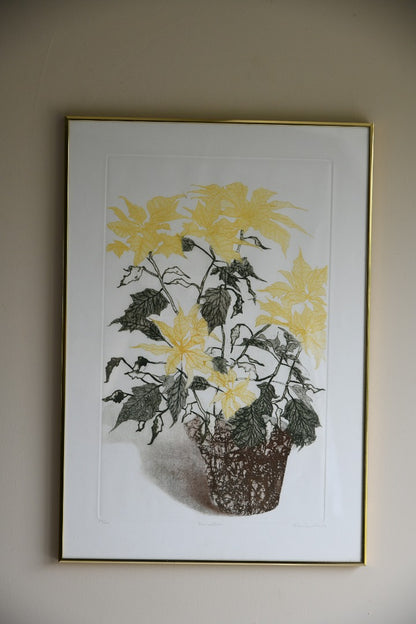 Elaine Simel - Poinsettias Etching