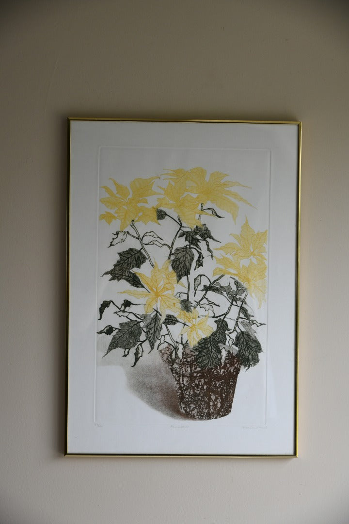 Elaine Simel - Poinsettias Etching