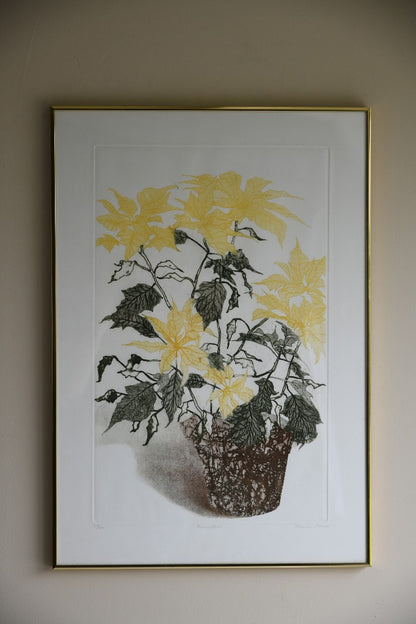 Elaine Simel - Poinsettias Etching