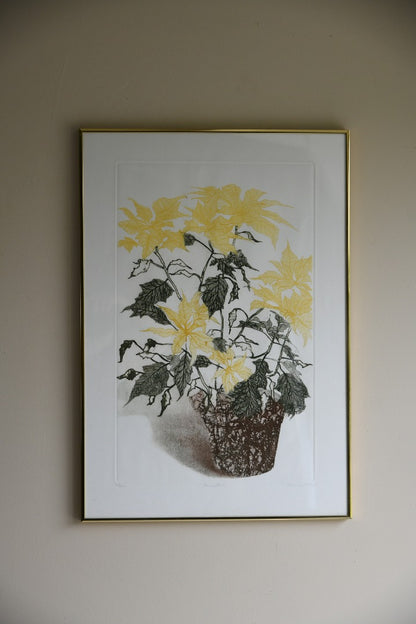 Elaine Simel - Poinsettias Etching