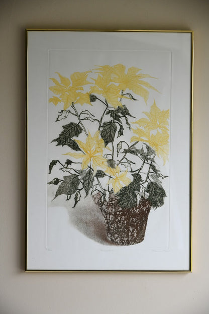 Elaine Simel - Poinsettias Etching