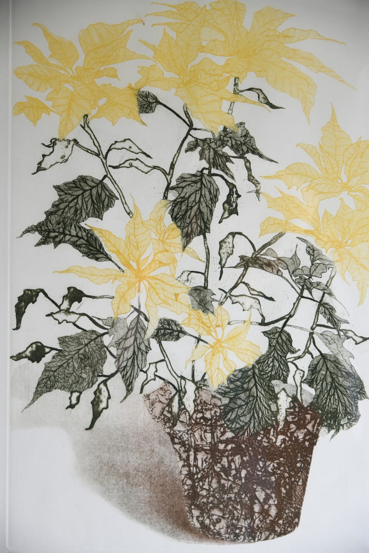 Elaine Simel - Poinsettias Etching