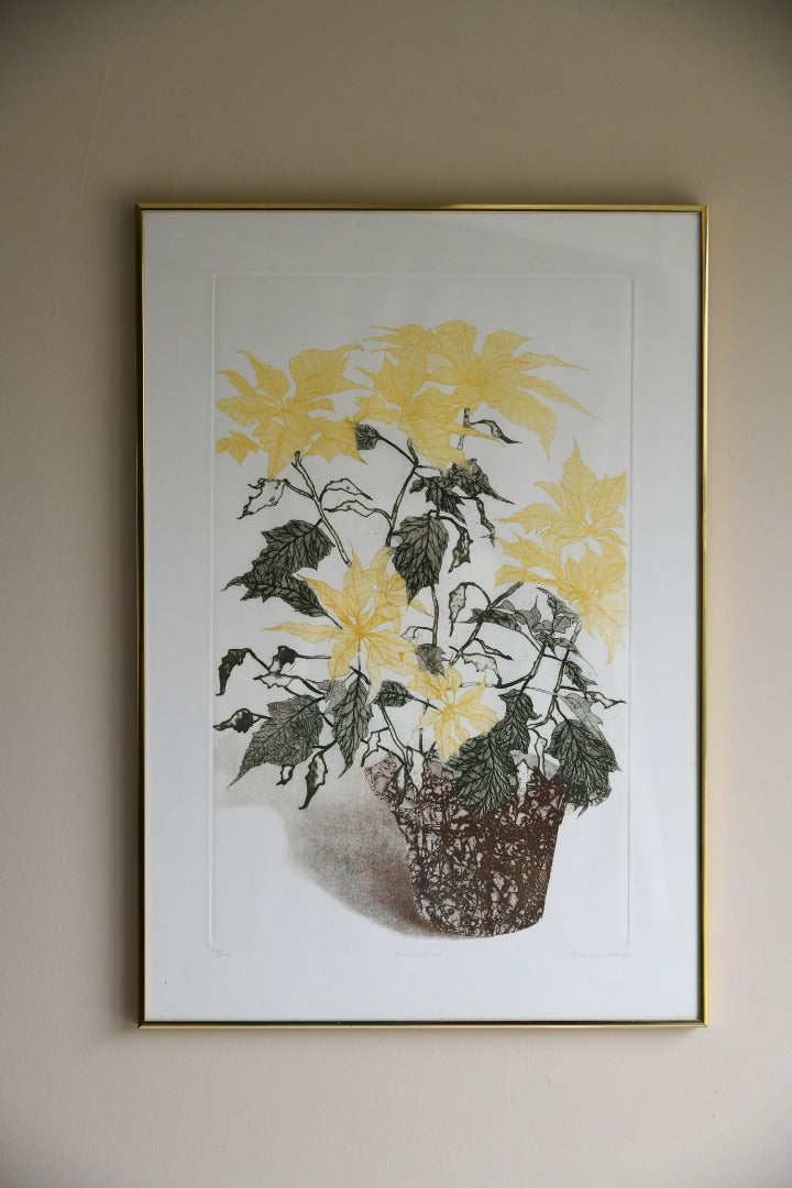 Elaine Simel - Poinsettias Etching