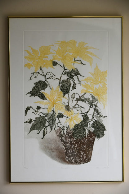 Elaine Simel - Poinsettias Etching