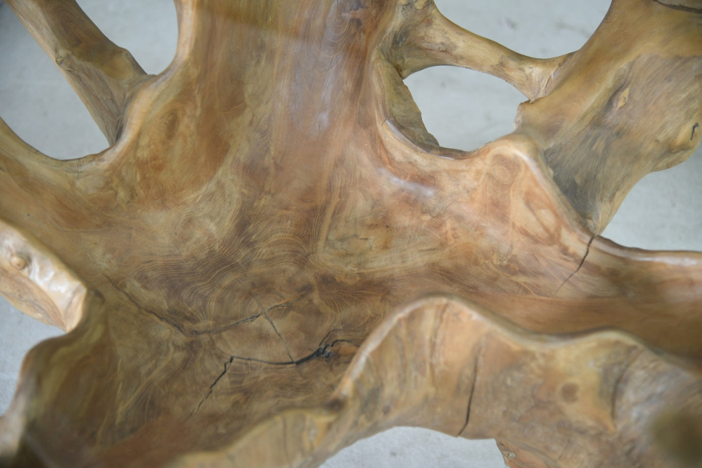 Large Root Wood Centre Table