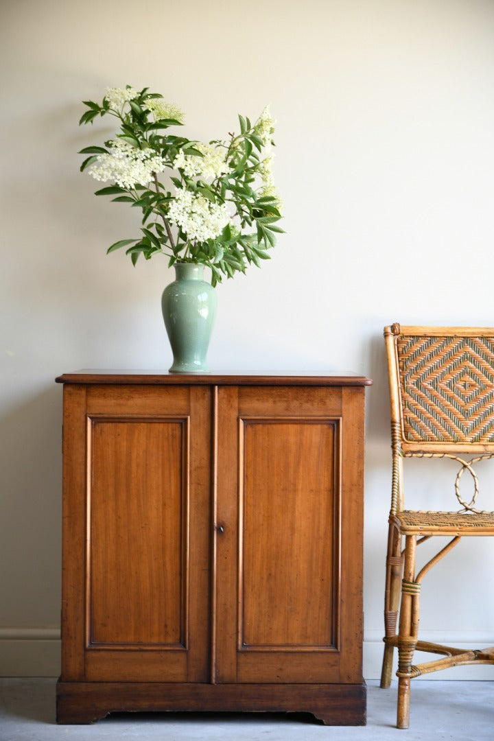 Victorian Mahogany Cabinet