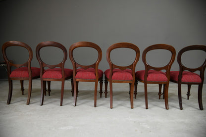 6 Victorian Mahogany Dining Chairs