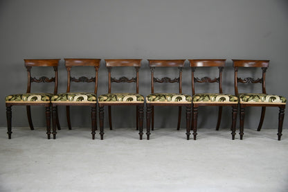 Set 6 William IV Dining Chairs