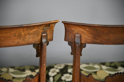 Set 6 William IV Dining Chairs