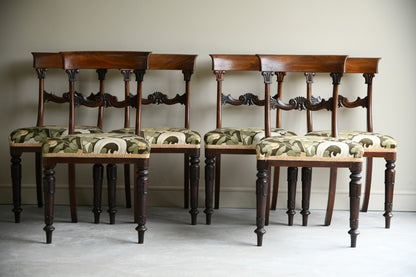 Set 6 William IV Dining Chairs