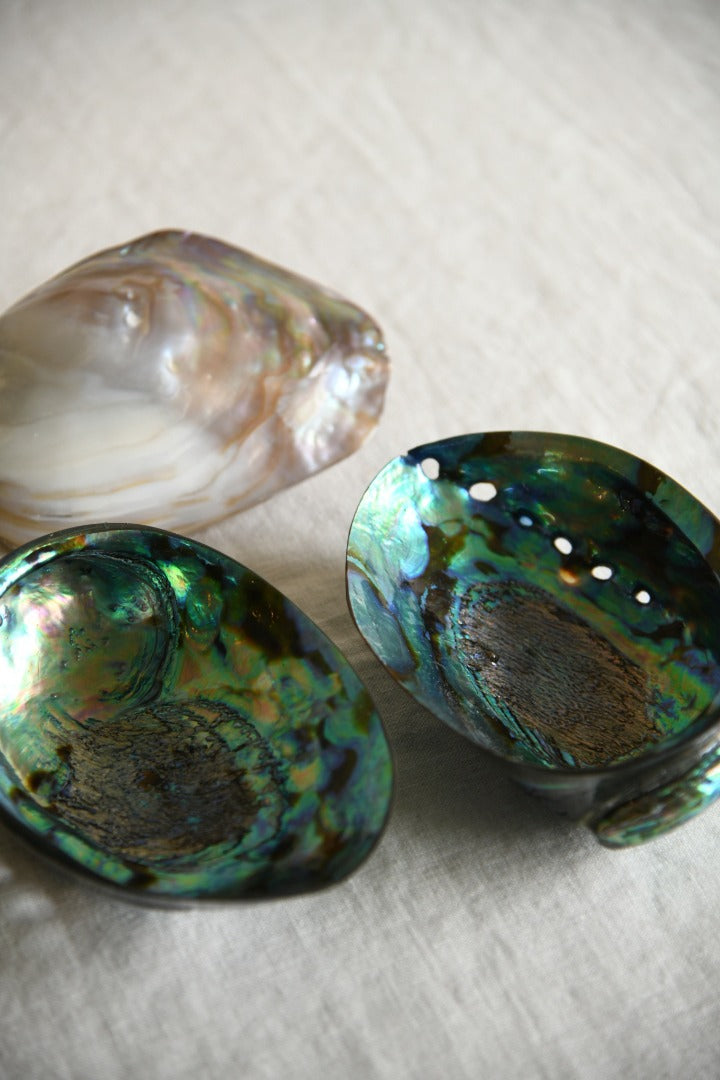 Abalone Shells