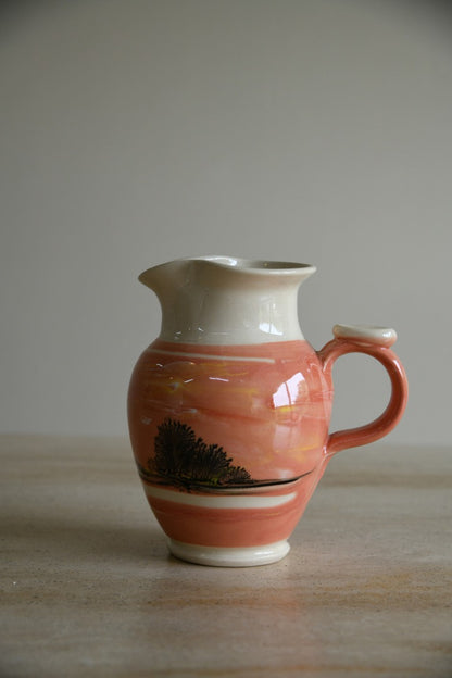 Boscastle Pottery Jug