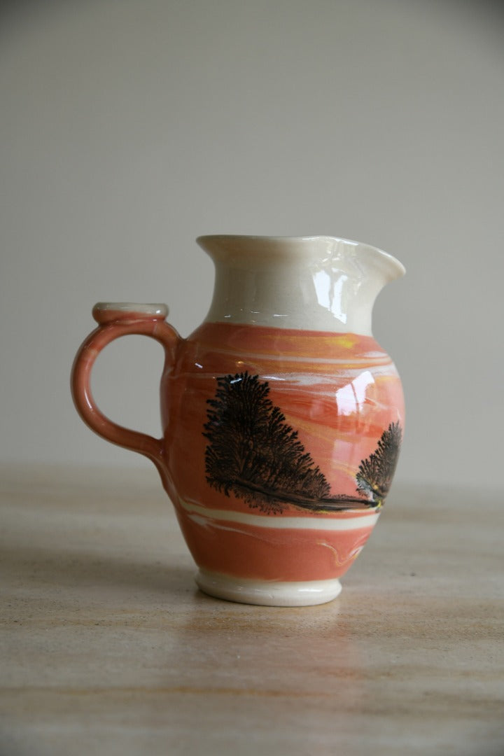 Boscastle Pottery Jug