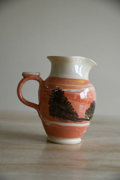 Boscastle Pottery Jug