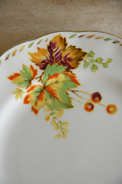 5 Grindley Cream Petal Bundarra Dinner Plates