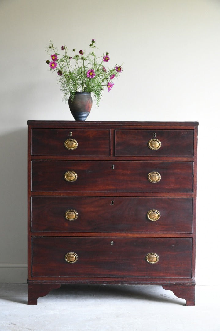 Antique Mahogany Chest of Drawers