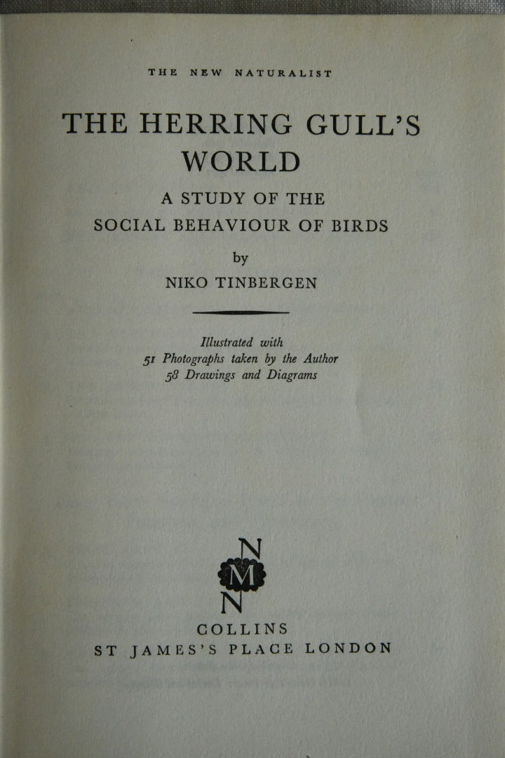 Niko Tinbergen - The Herring Gulls World