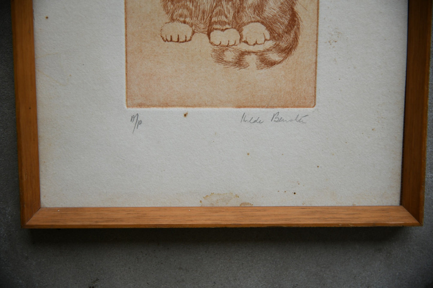 Cat - Hilda Bernstein Etching