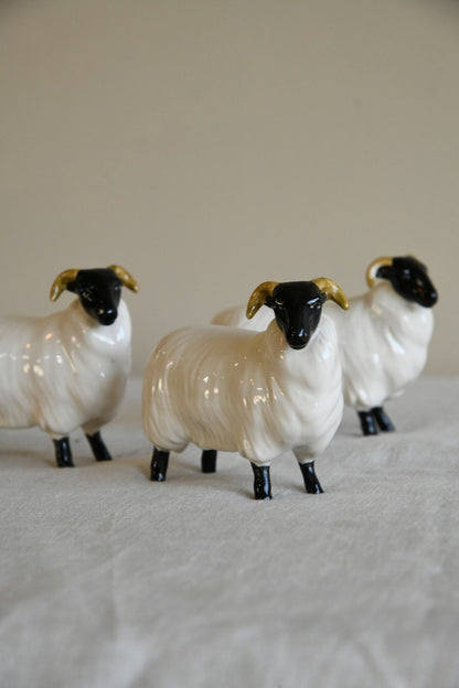 Beswick Black Face Rams